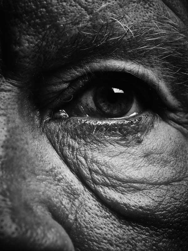 Bill_Brandt___Eyes_(date),_2014_b