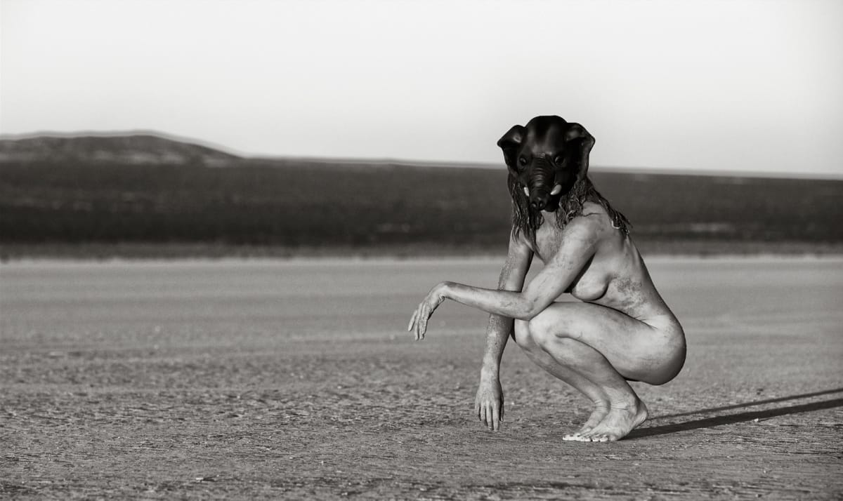 Brian-Bown-Smith-Wildlife-10