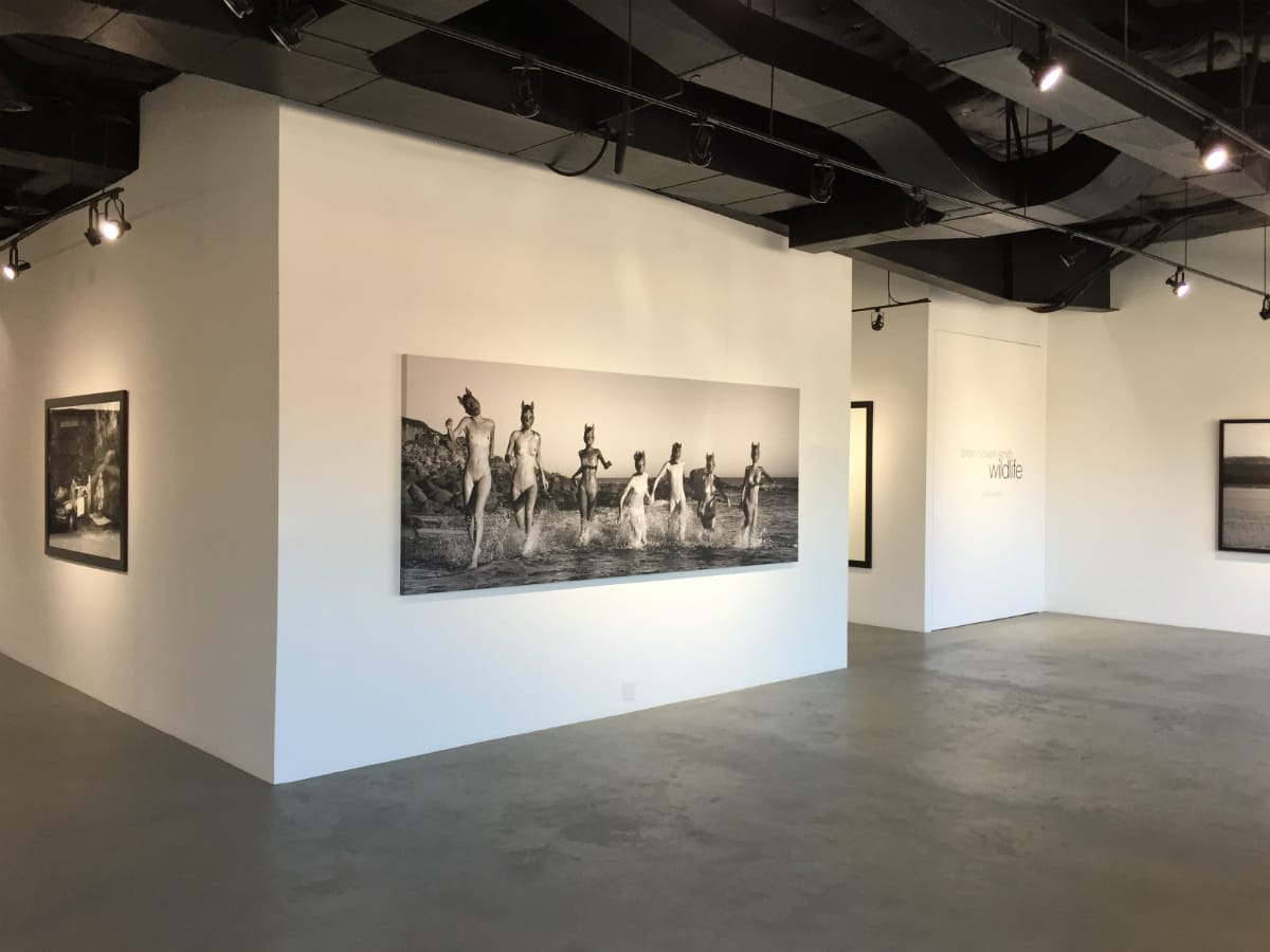 Brian-Bown-Smith-Wildlife-4