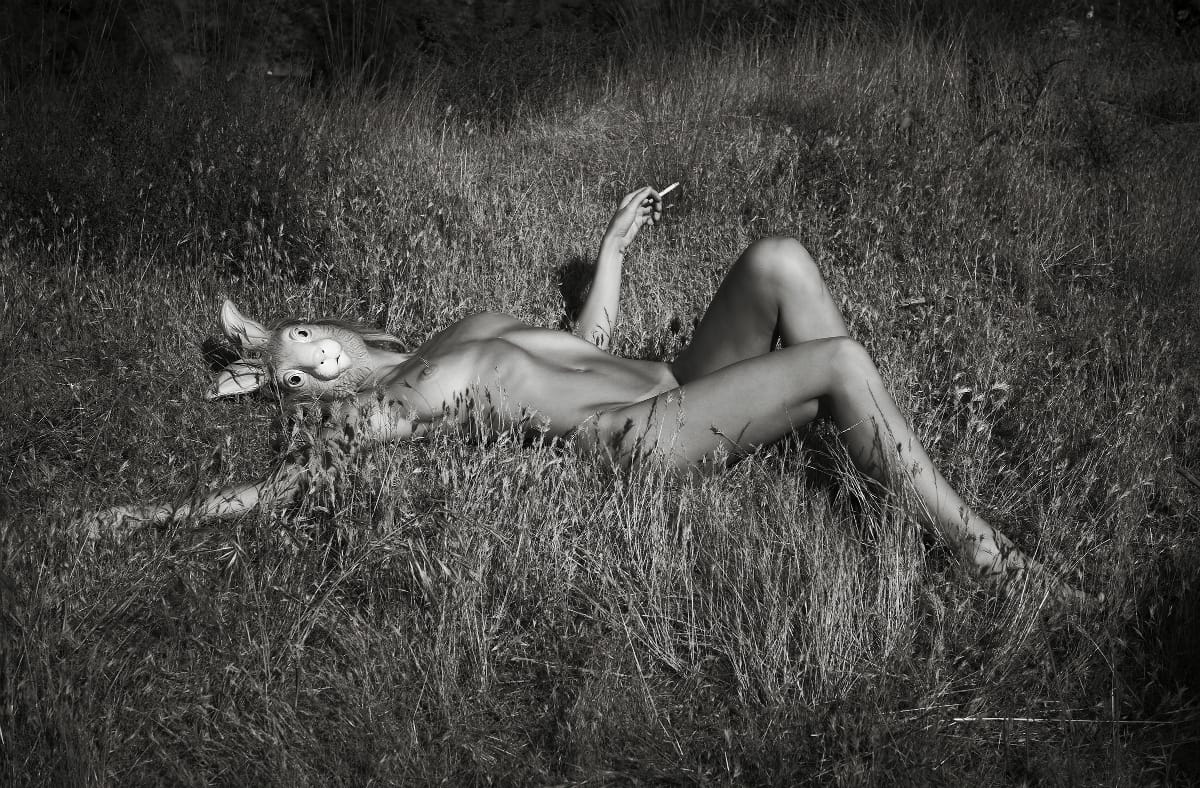 Brian-Bown-Smith-Wildlife-8