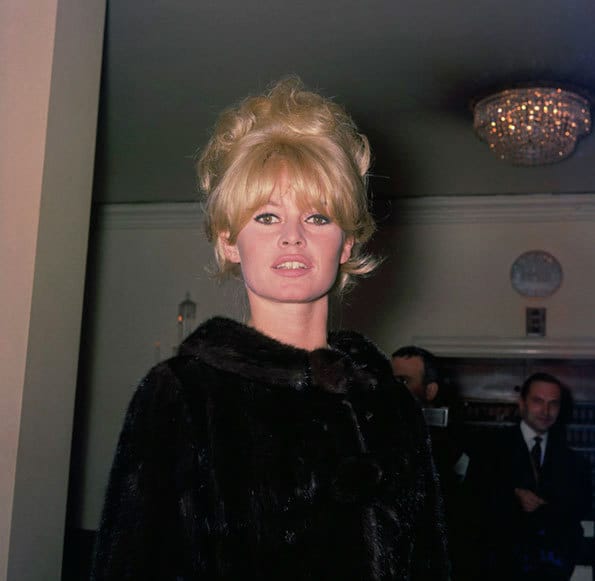 Brigitte-Bardot--Ray-Bellisario-its-nice-that-7