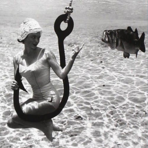 Bruce-Mozert-photo-sous-marine-12-720x720