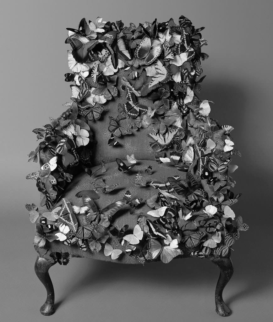 ButterflyChair_PDNBGallery