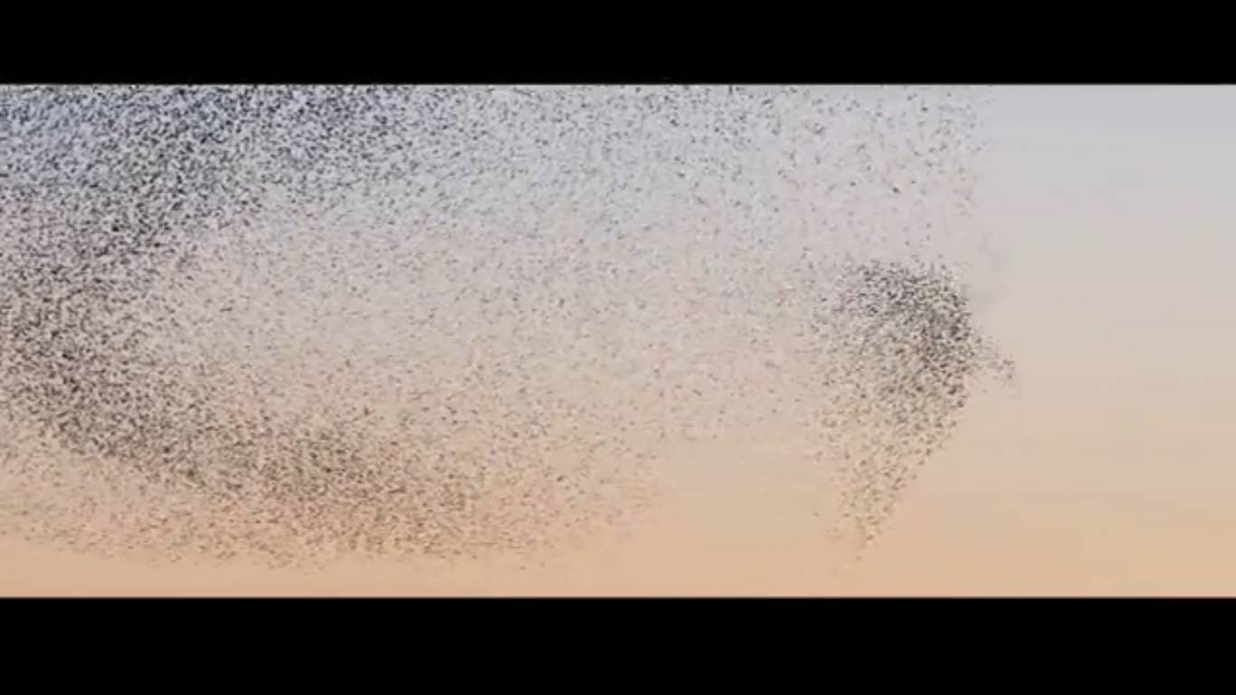 Capture d’écran (781)