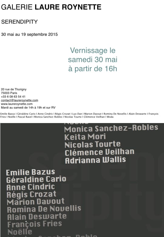 Carton Serendipity.001