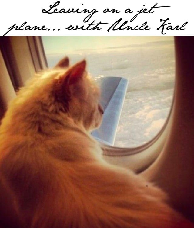 Choupette-Karl-Lagerfeld-plane