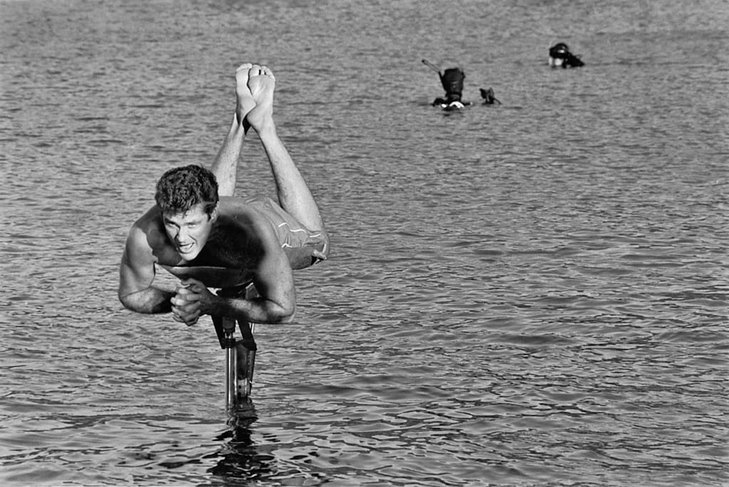 David_Hasselhoff_brochure