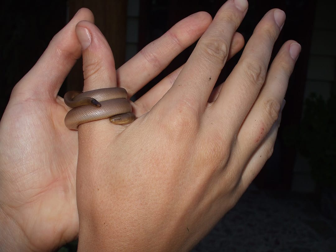 DSCF0626_original-original