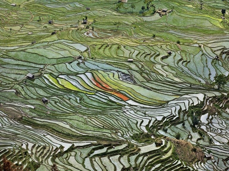Edward Burtynsky, "Rice Terraces #2, Western Yunnan Province, China, 2012"