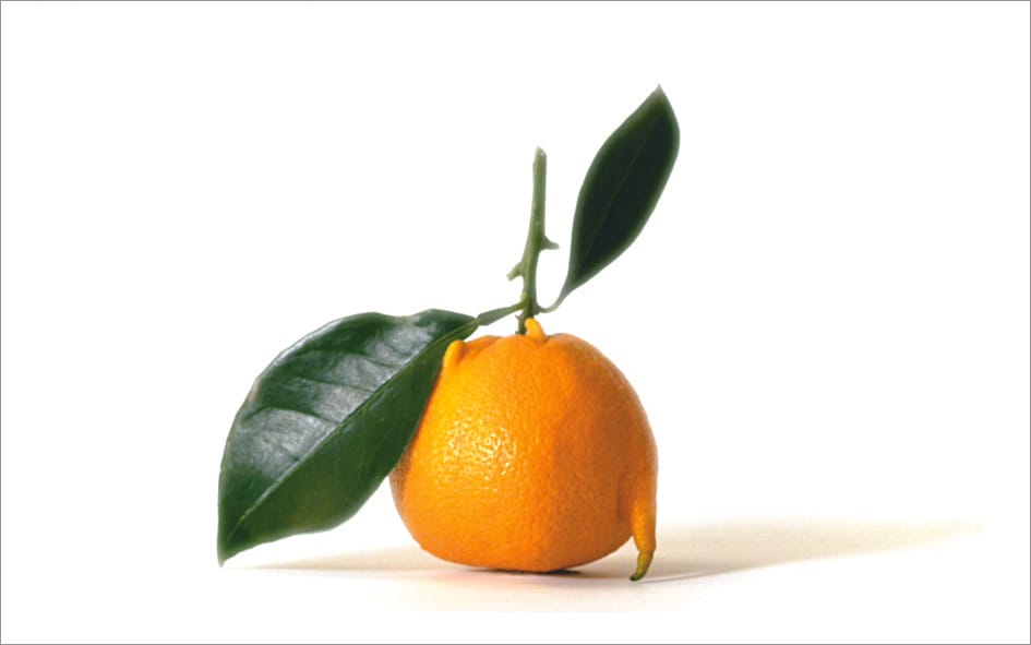 fruits-legumes-moches-intermarches_clementine_06