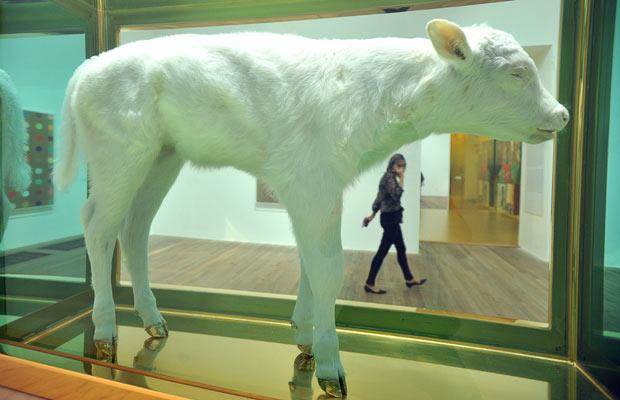 hirst-calf_1491726i