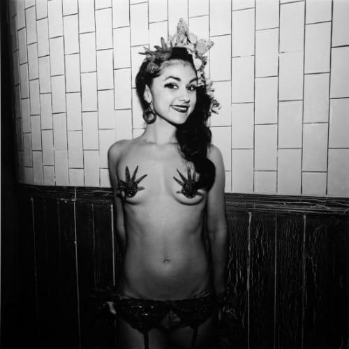 Horenstein-Melody-Sweets-551x550