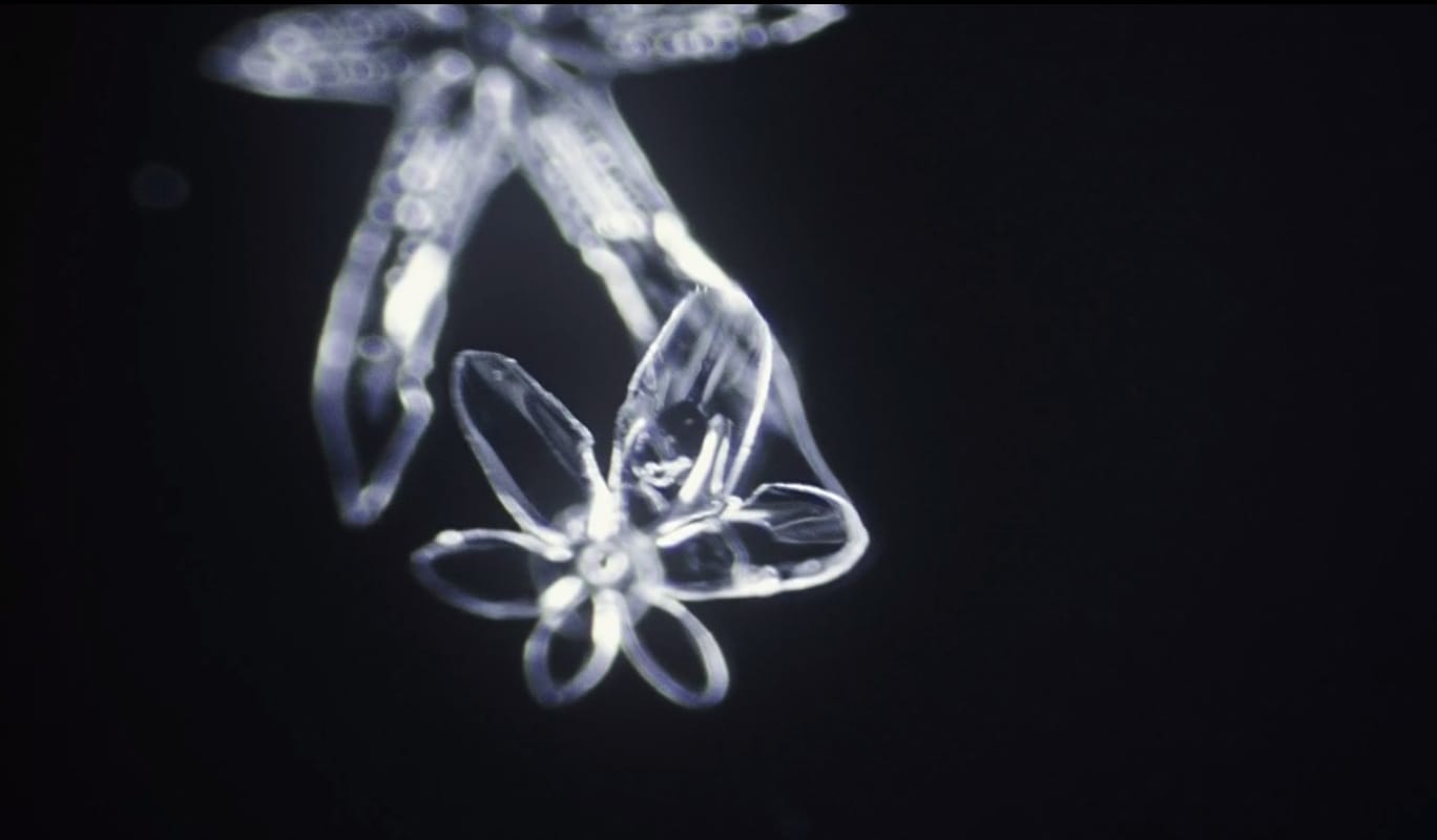 image-2014-03-09-a-02.11.12