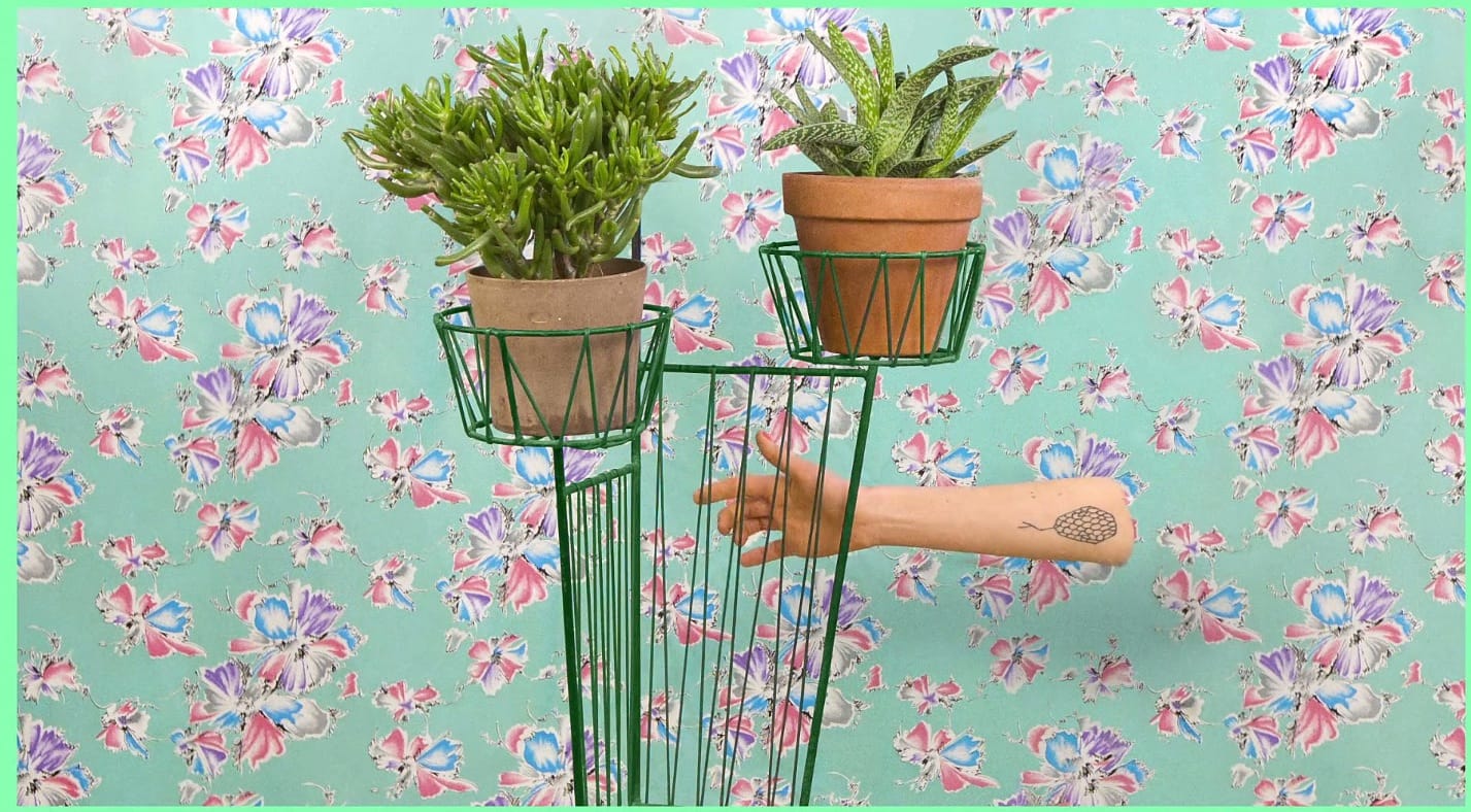 image-2014-08-08-a-14.36.57