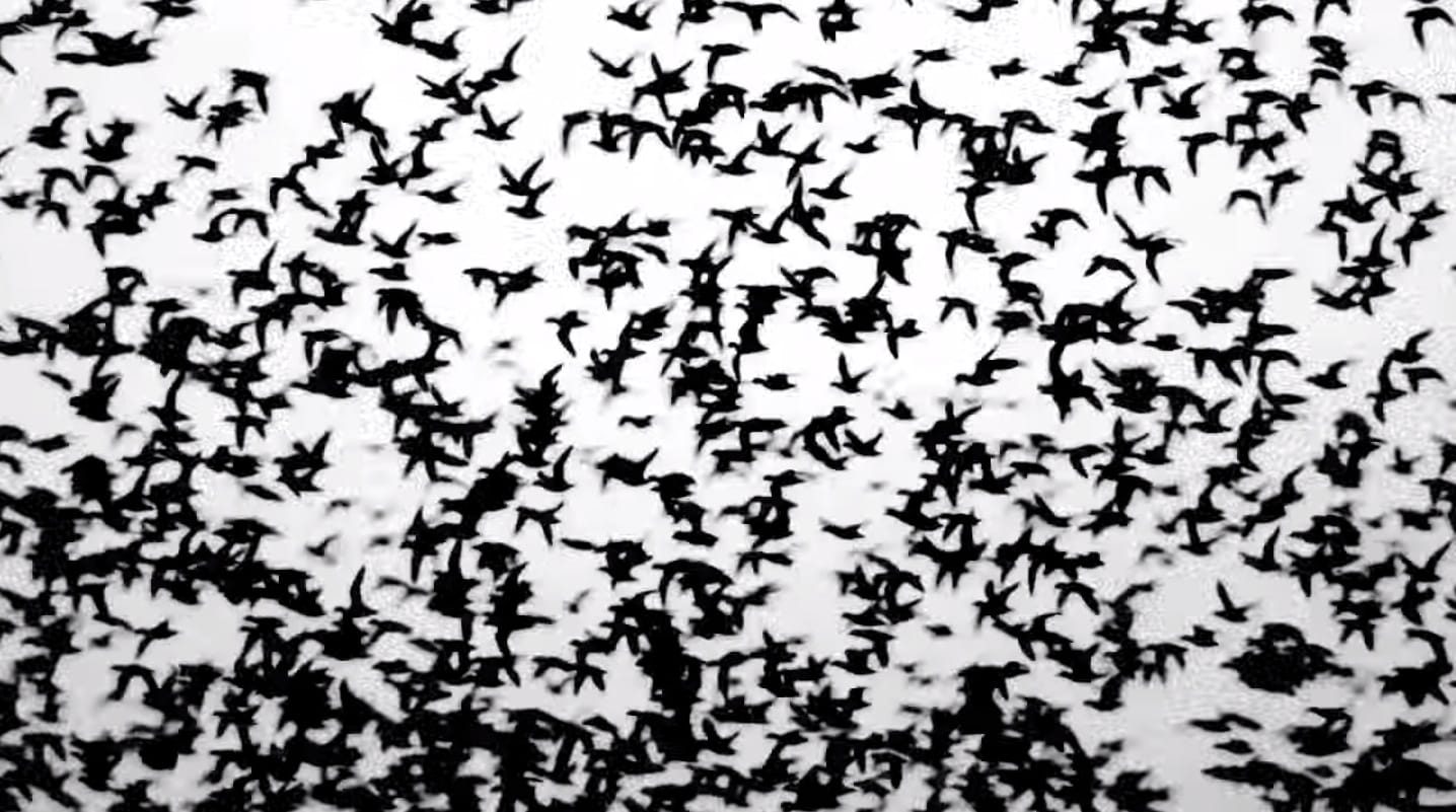 image-2014-08-19-a-16.12.26