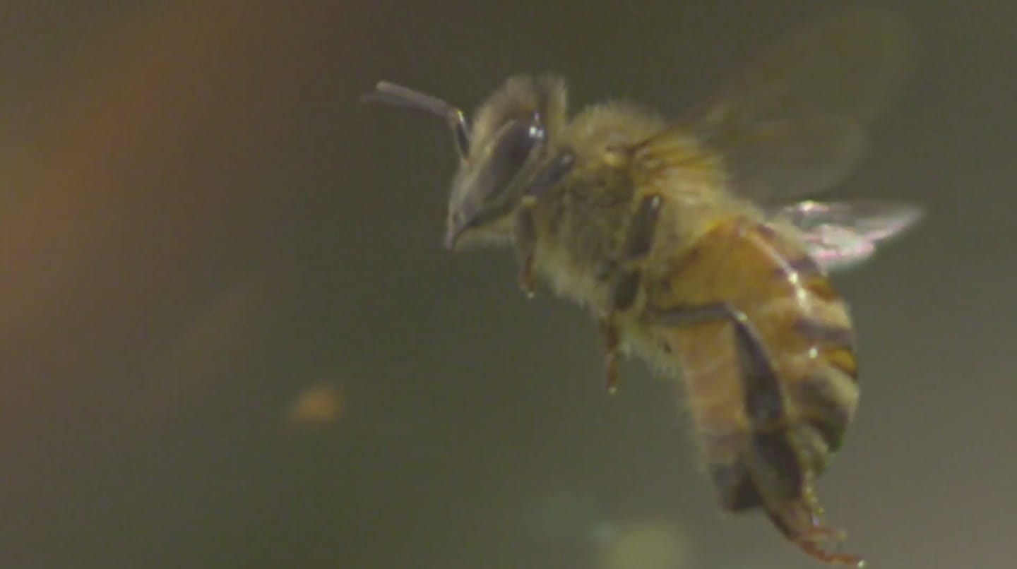 image-2014-08-20-a-16.42.09