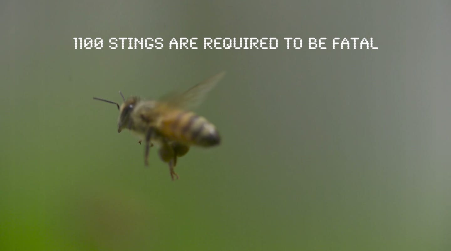 image-2014-08-20-a-16.42.13