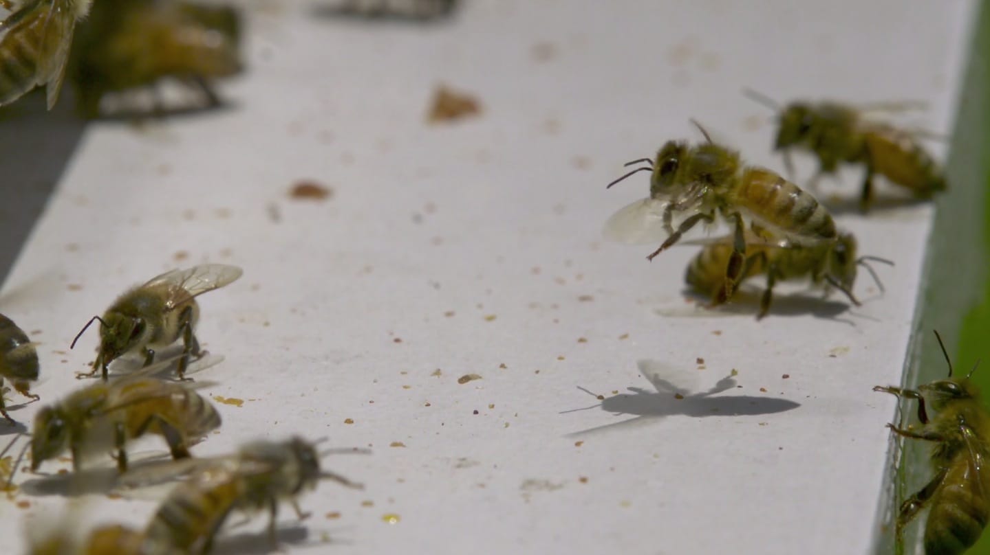 image-2014-08-20-a-16.42.43