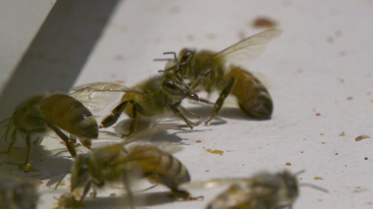 image-2014-08-20-a-16.42.48