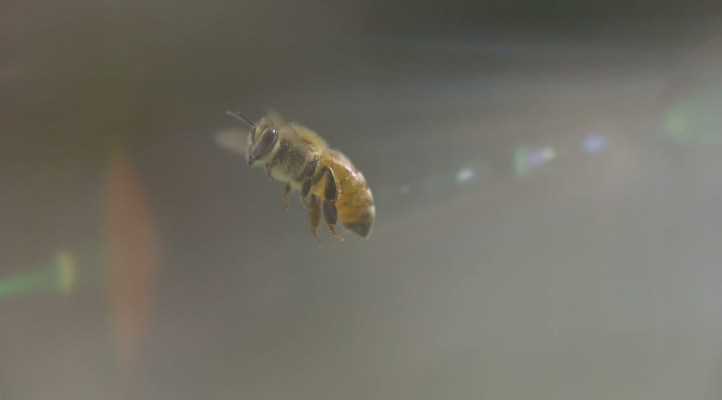 image-2014-08-20-a-16.43.05