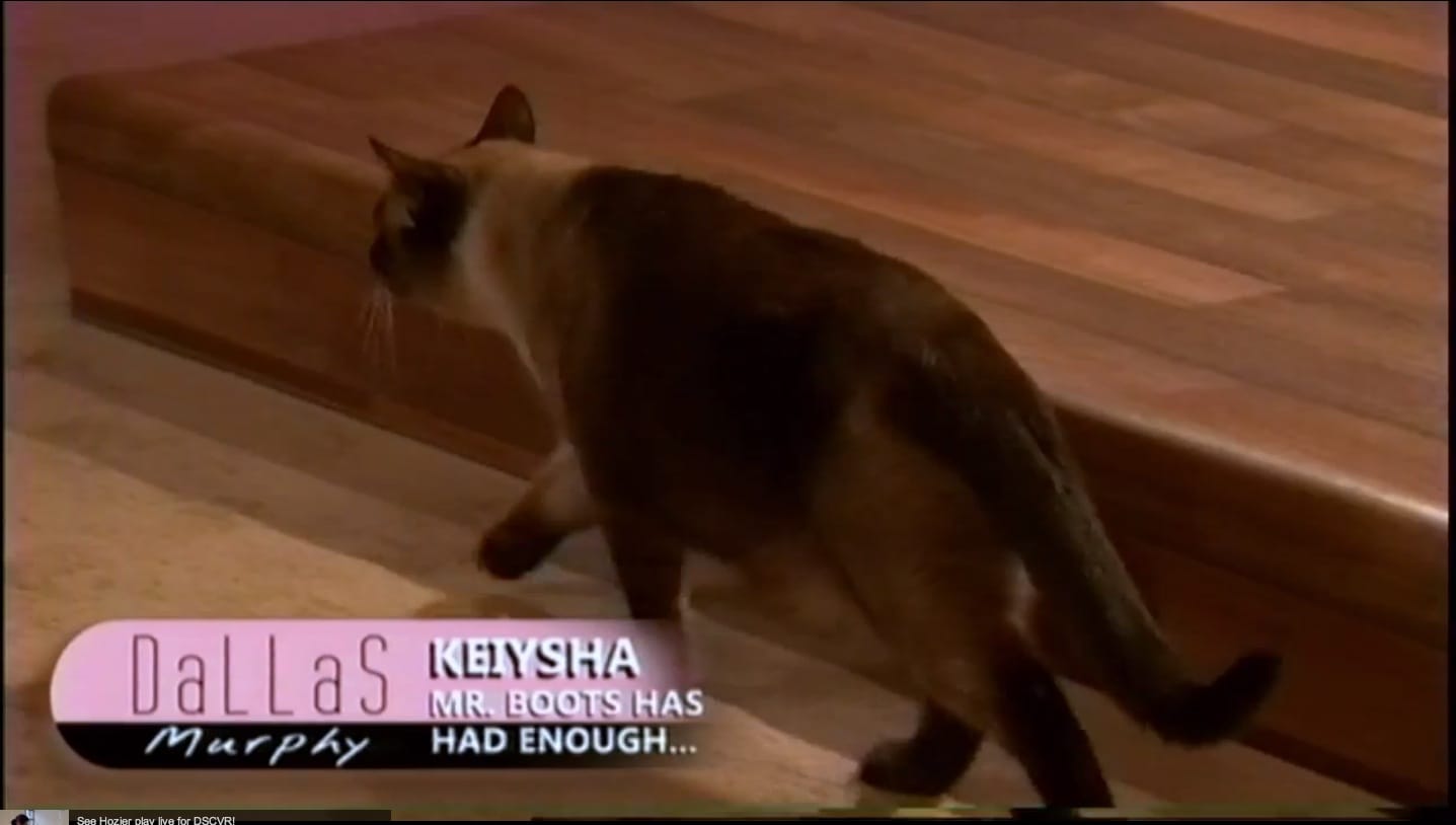 image-2014-08-20-a-17.23.53