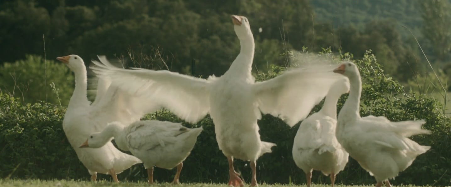 image-2014-08-22-a-17.17.33