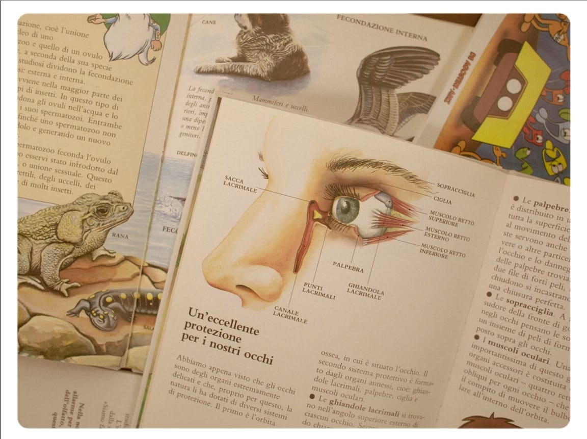 image-2014-08-28-a-14.58.26