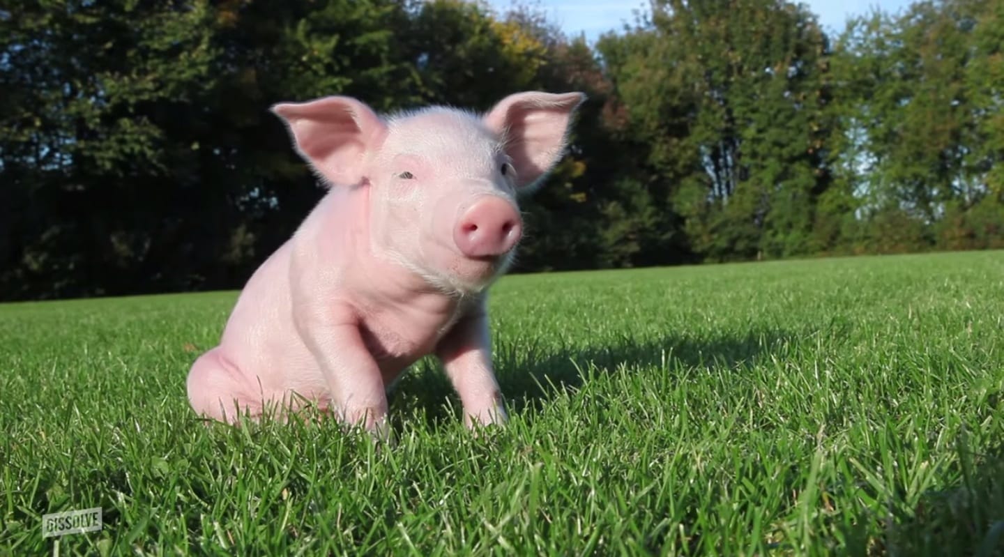 image-2014-09-19-a-17.51.43