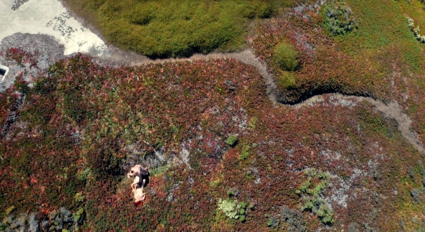 image-2014-11-05-a-15.43.07