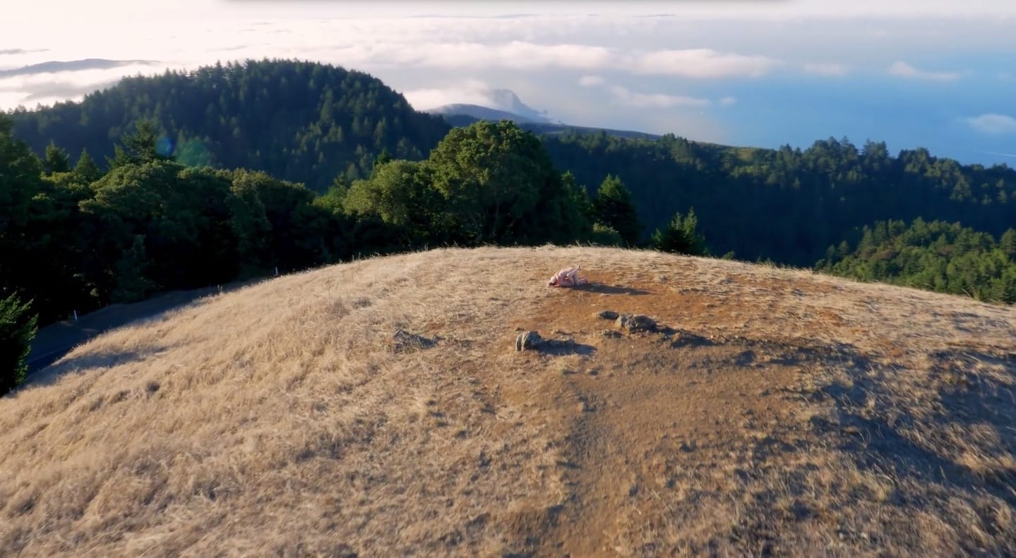 image-2014-11-05-a-15.43.22