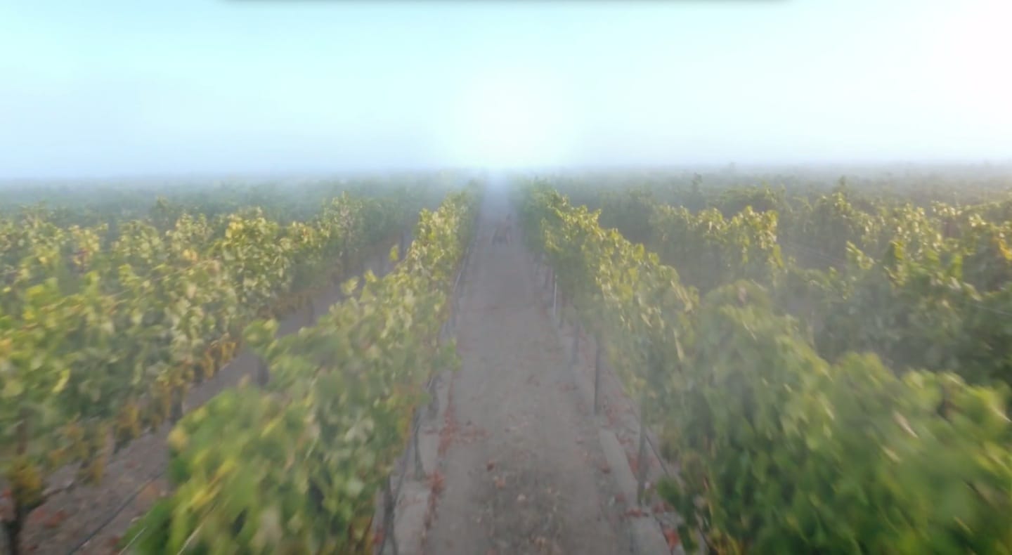 image-2014-11-05-a-15.43.36