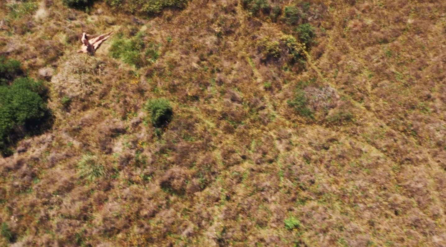 image-2014-11-05-a-15.44.29