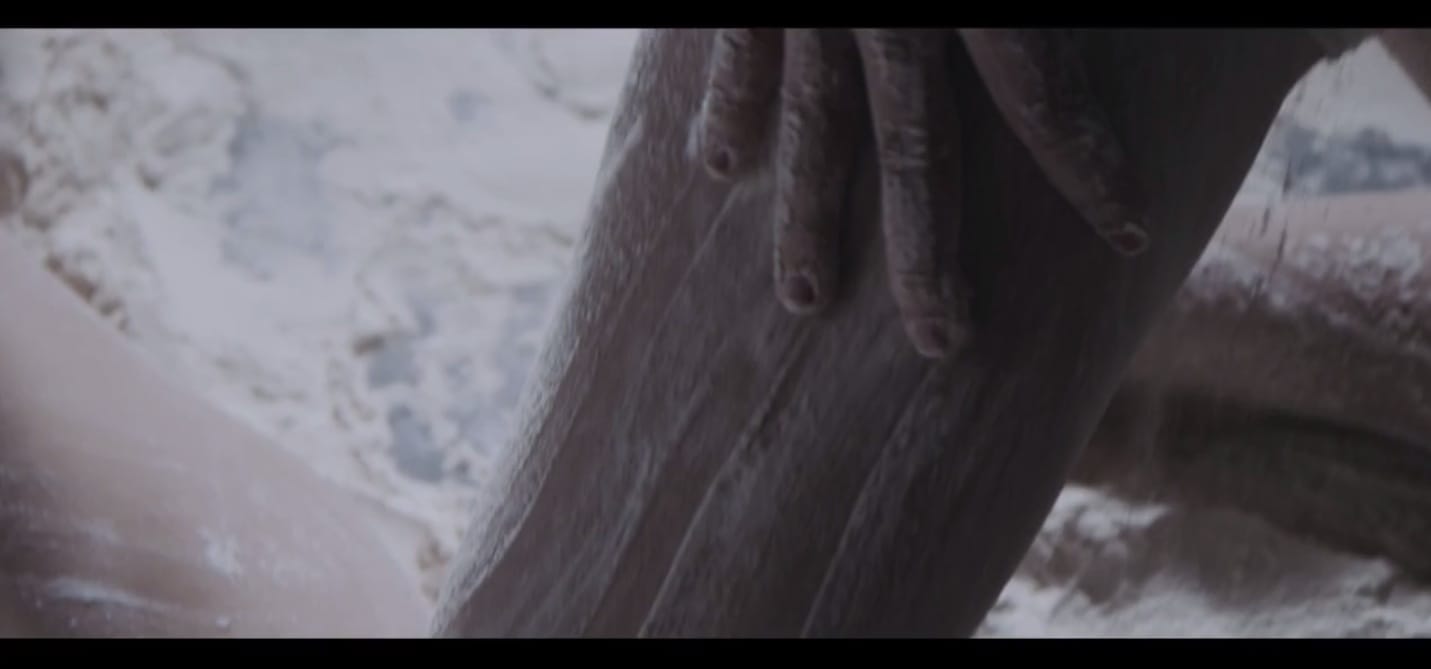 image-2014-11-06-a-11.29.05