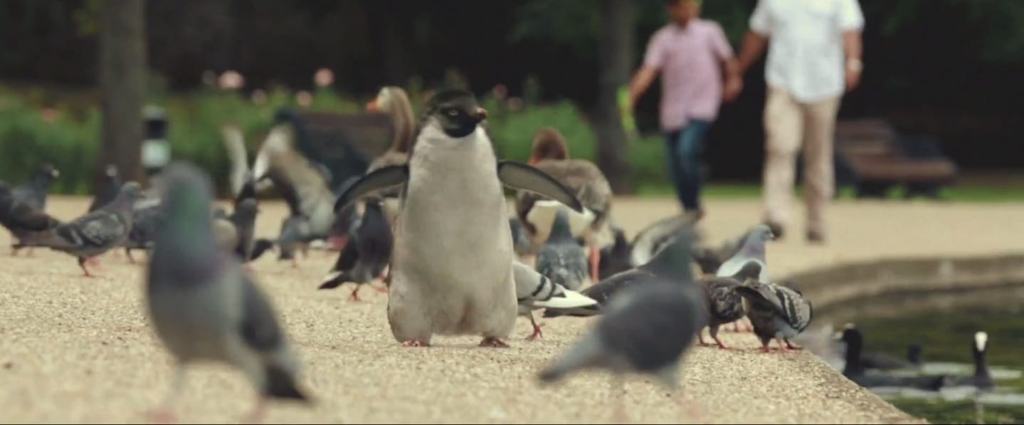 image-2014-11-06-a-12.22.05