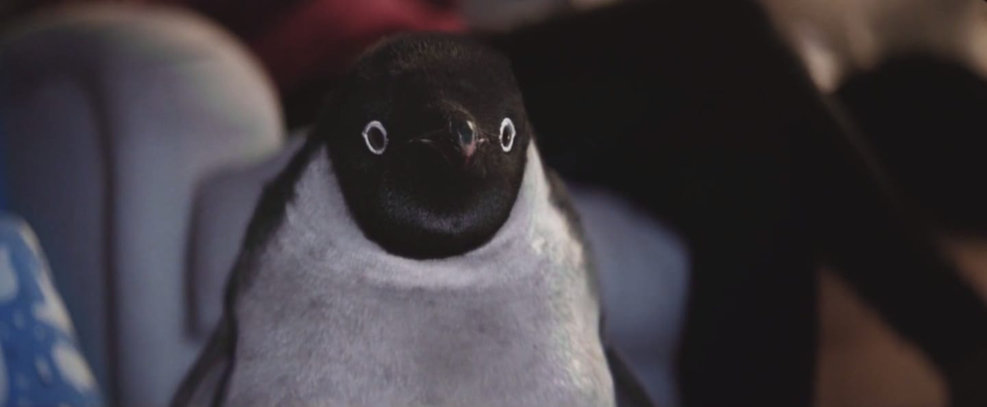 image-2014-11-06-a-12.22.37