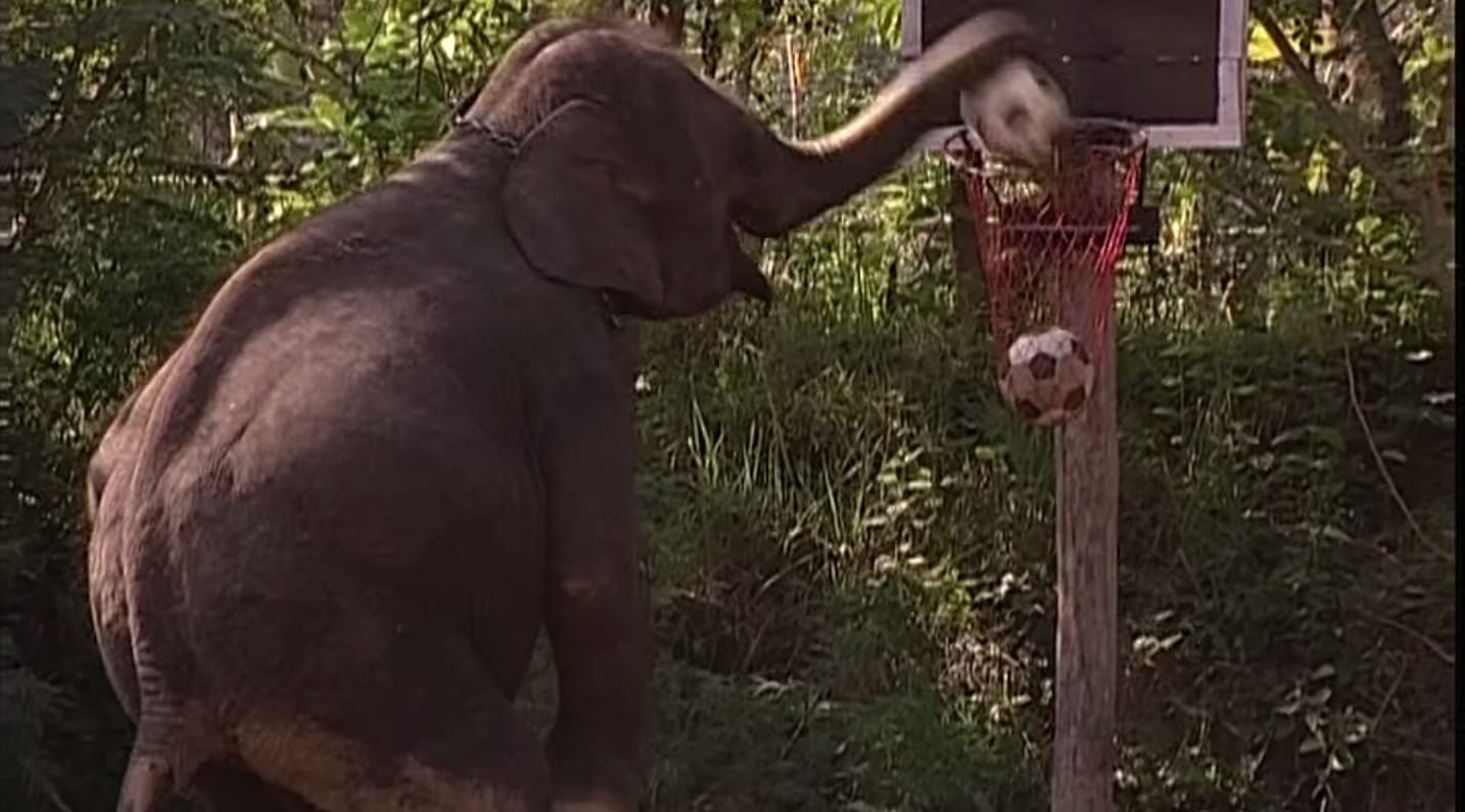 image-2014-11-14-a-15.16.06