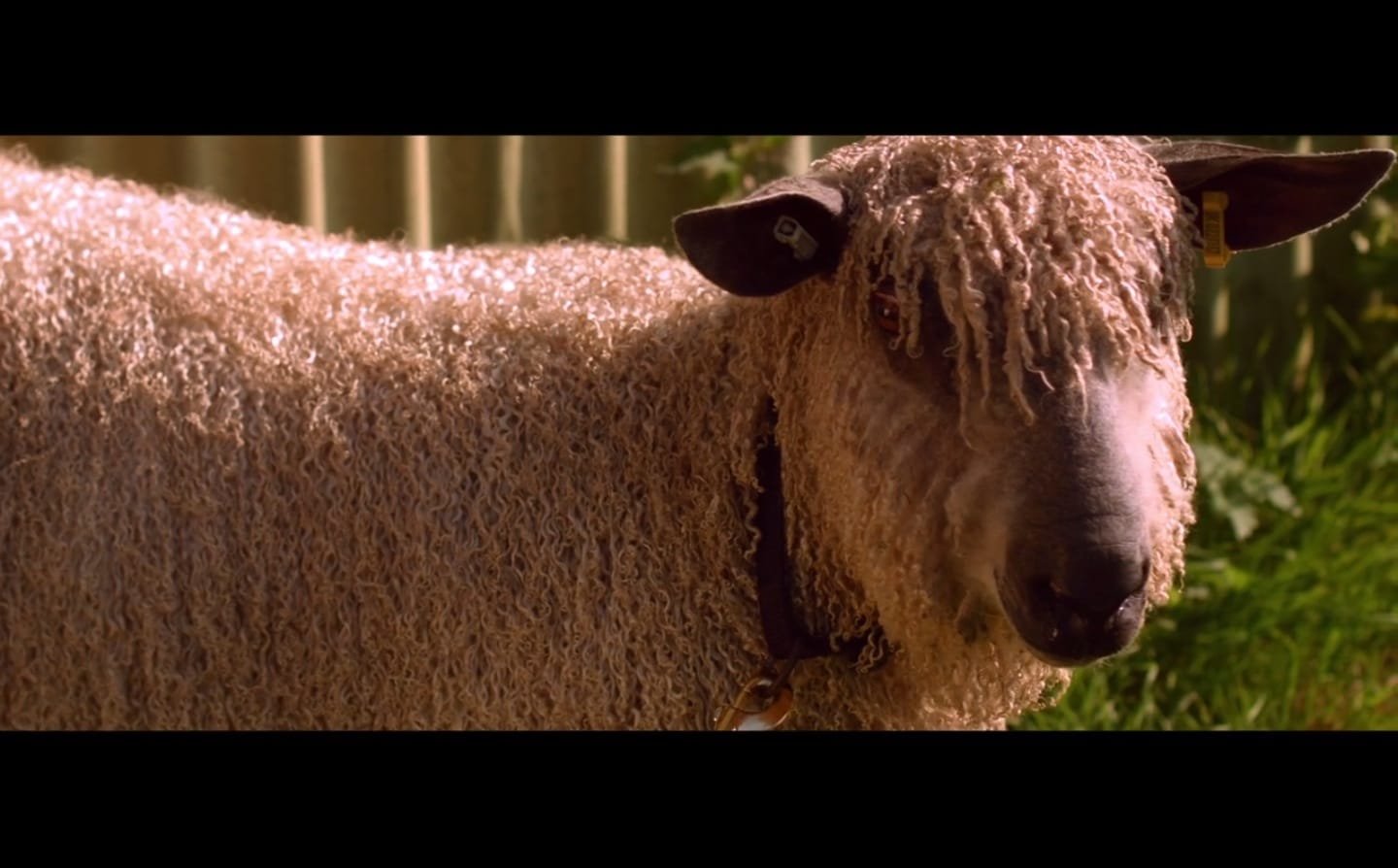 image-2014-11-17-a-14.38.07