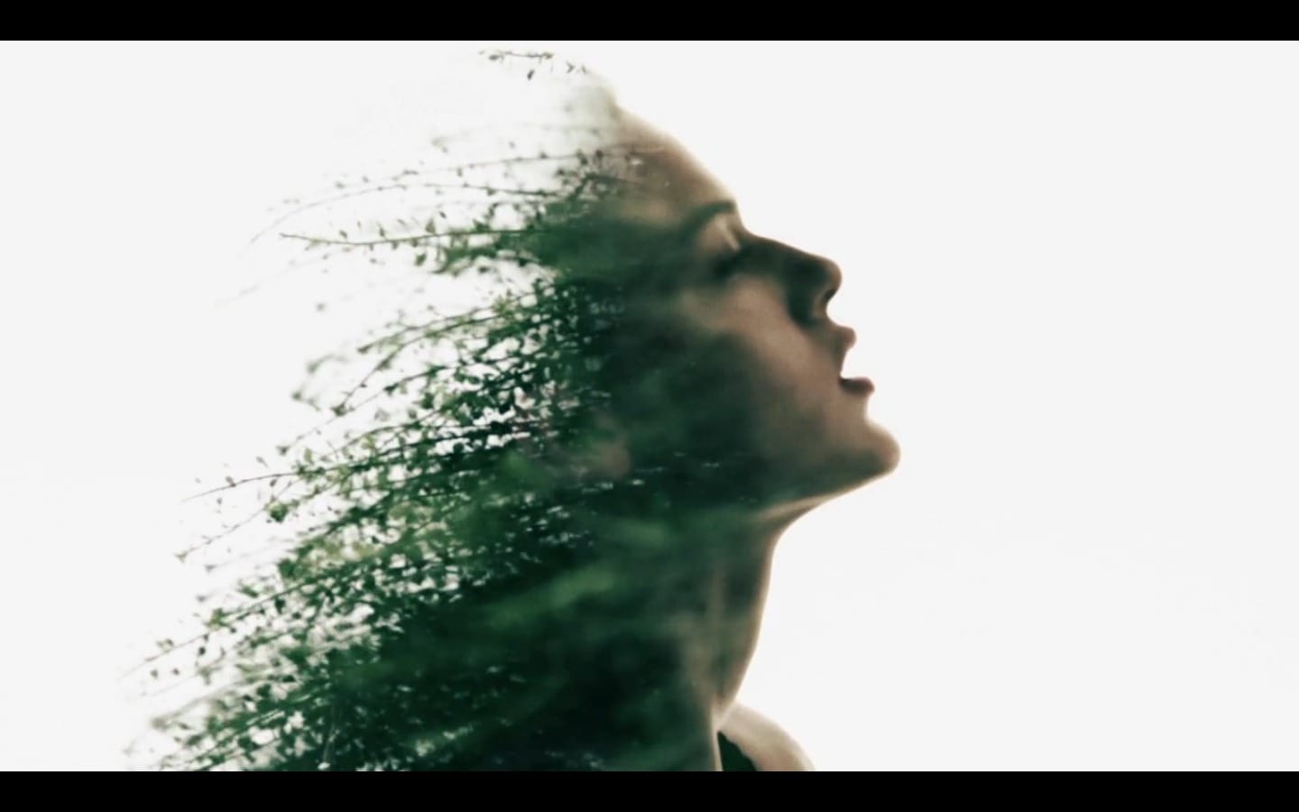 IMAGE d'ecran 2013-09-11  14.07.08