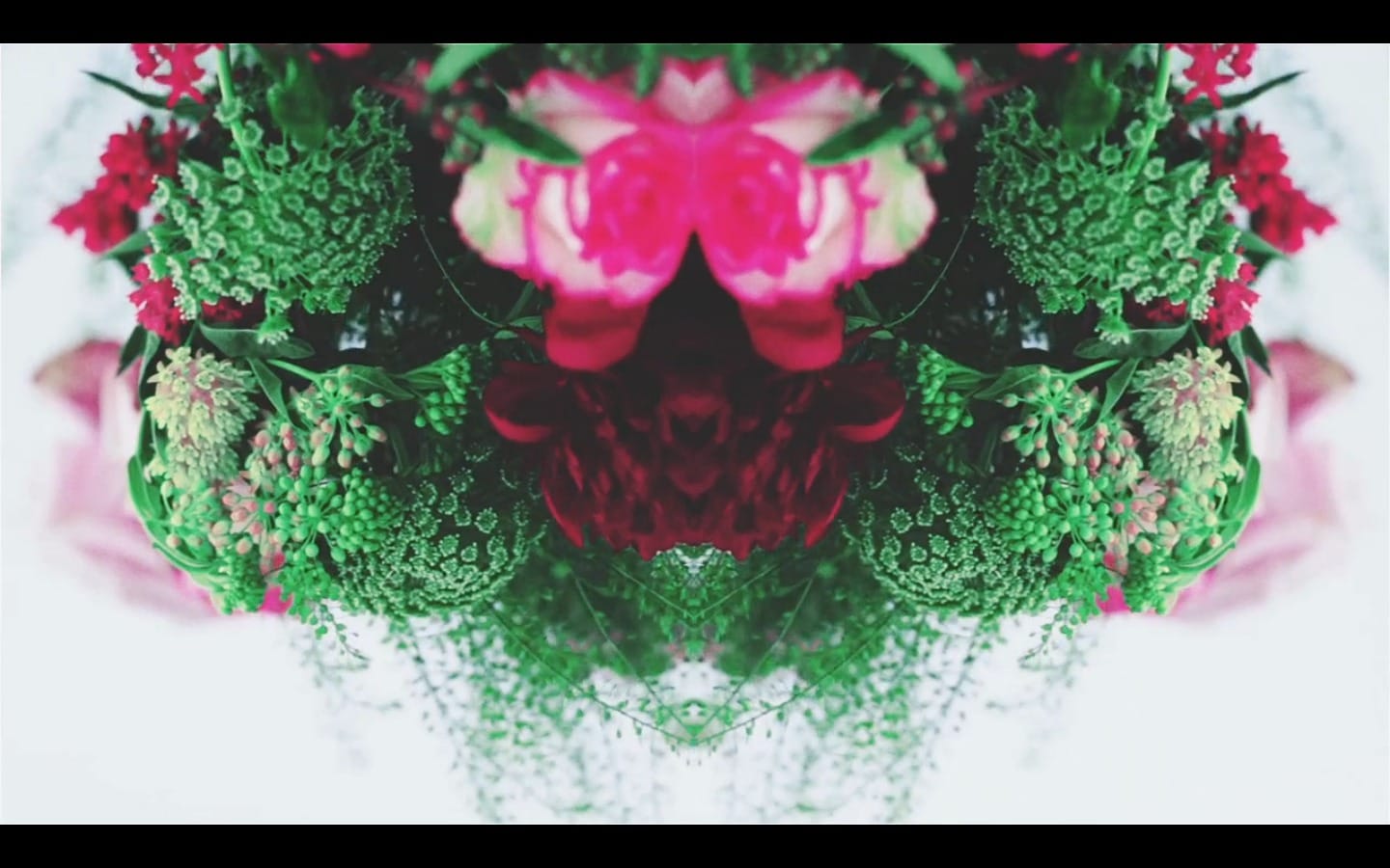 IMAGE d'ecran 2013-09-11  14.07.42