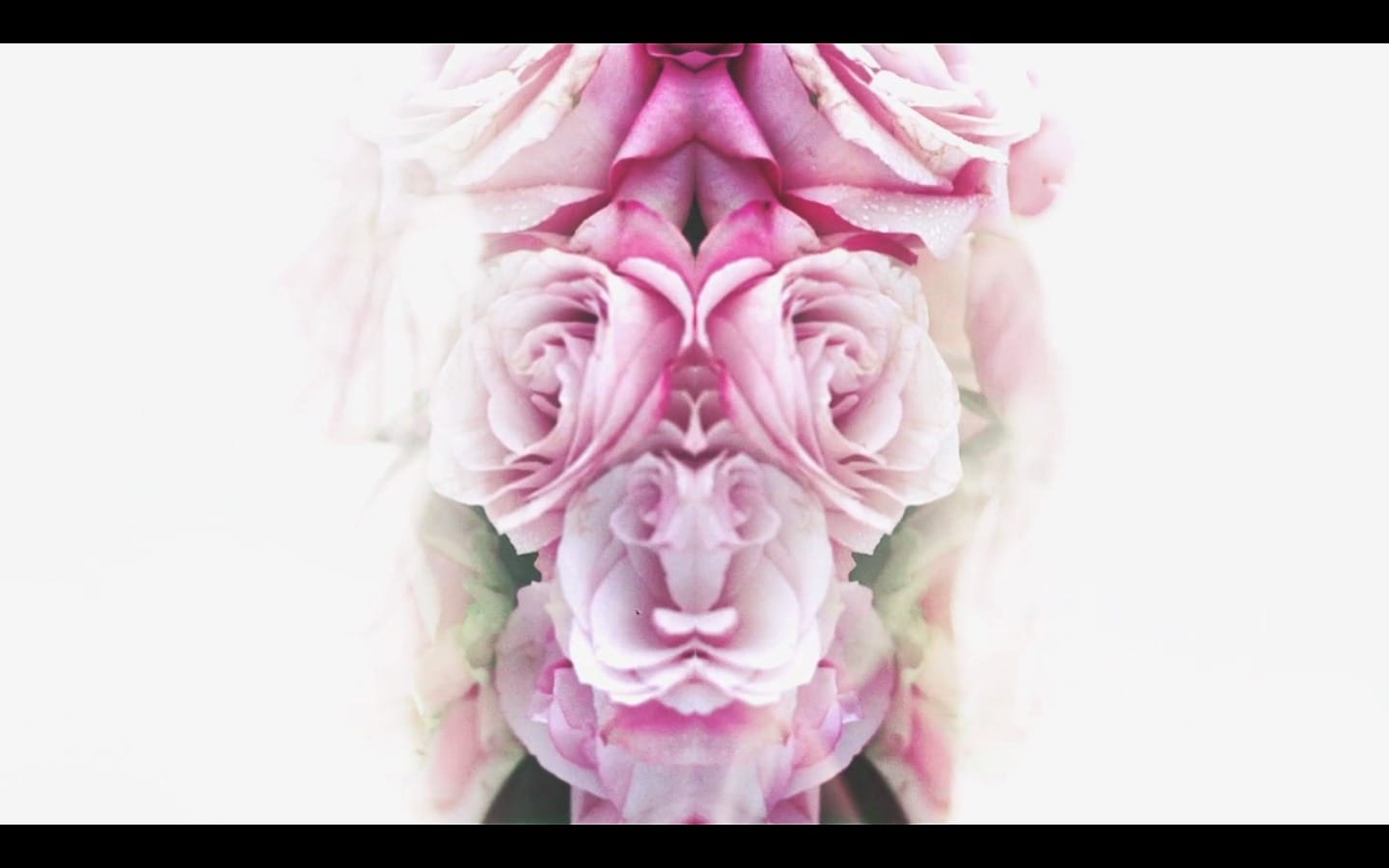 IMAGE d'ecran 2013-09-11  14.09.50