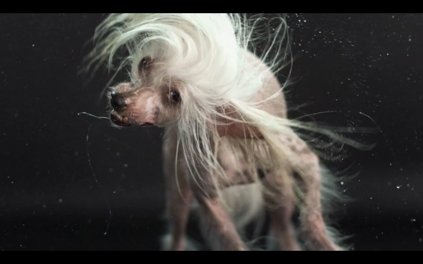 IMAGE d'ecran 2013-10-23  17.06.41