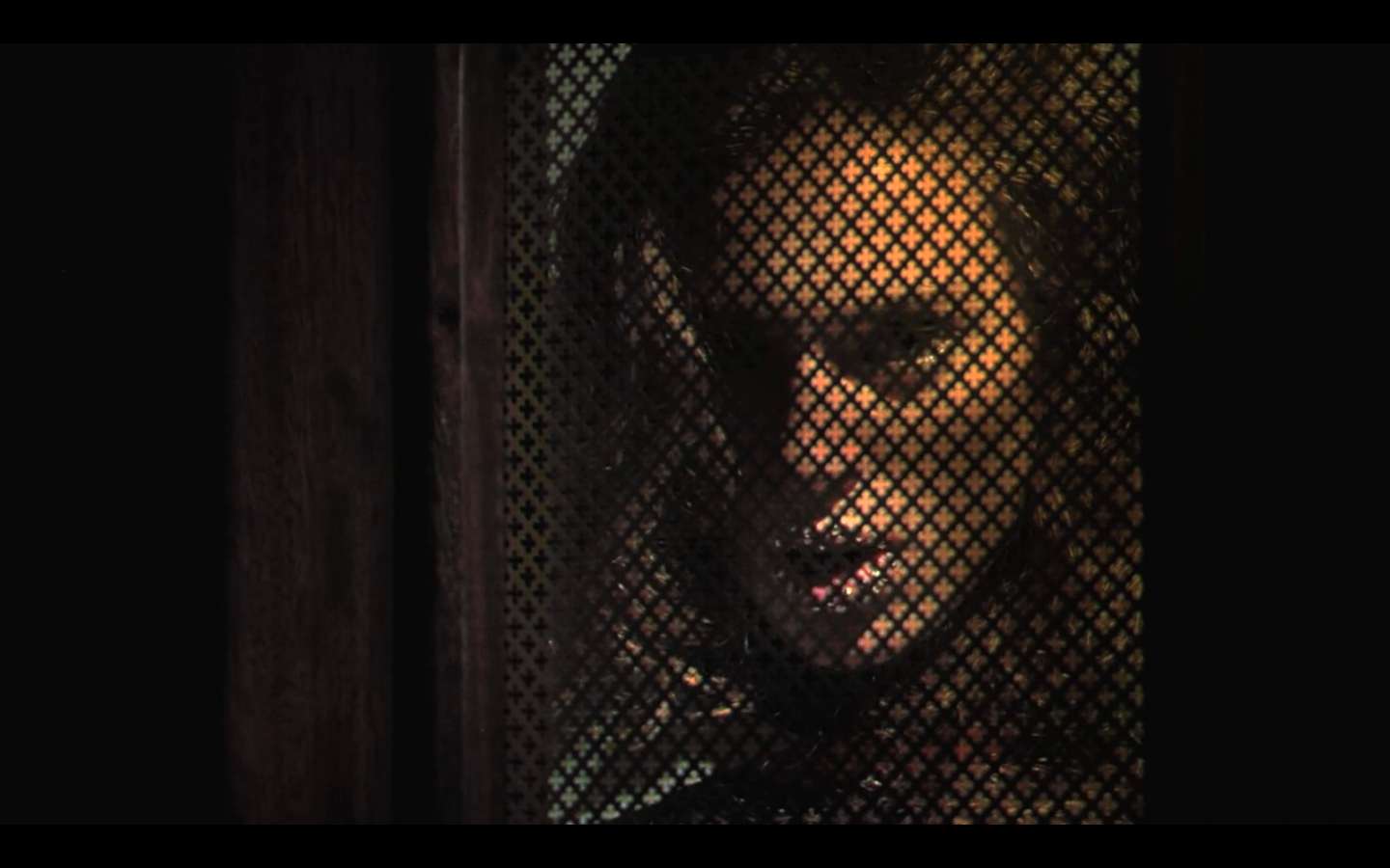 IMAGE d'ecran 2014-01-22  17.48.01