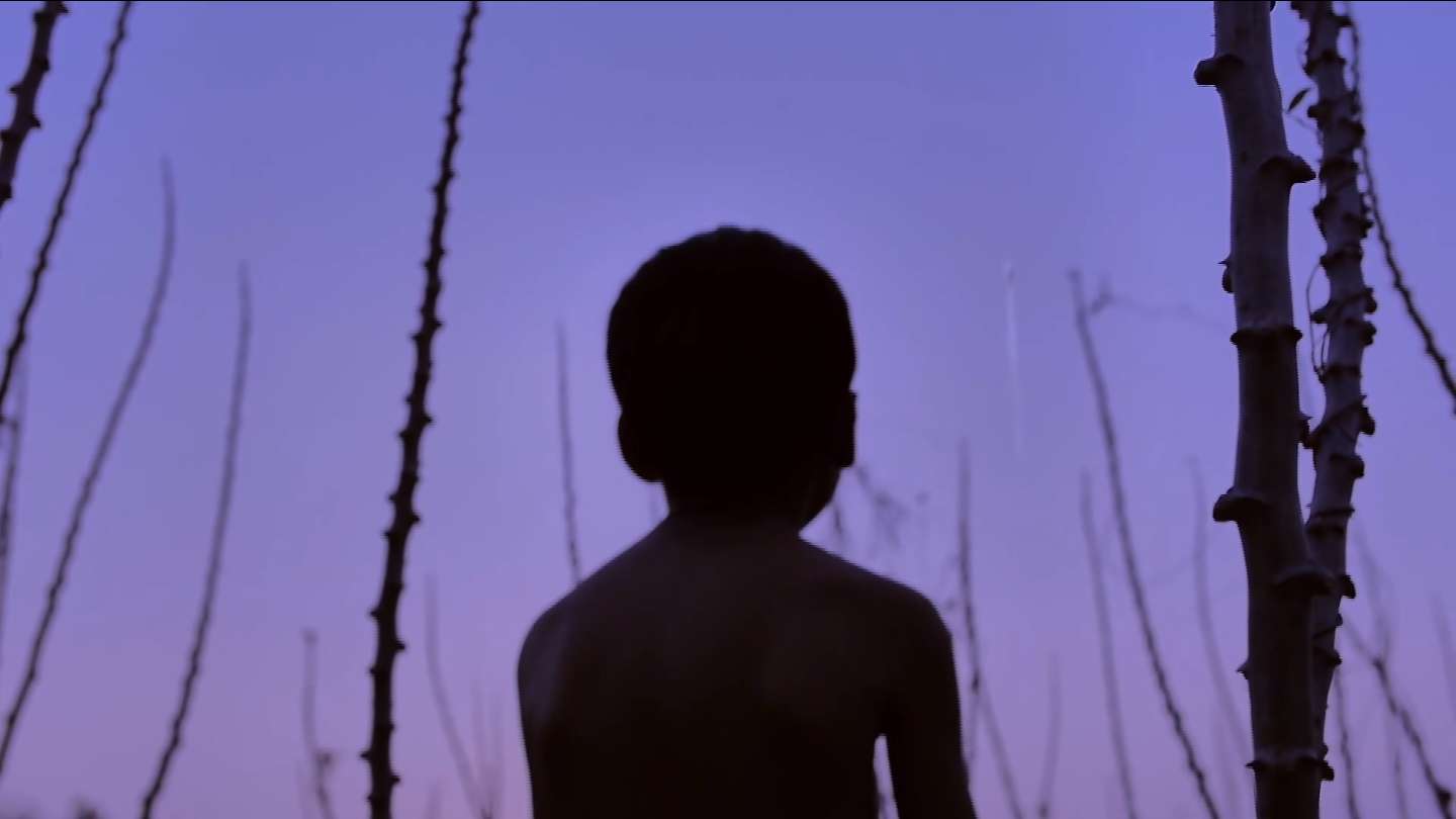 IMAGE d'ecran 2014-07-31  14.44.24