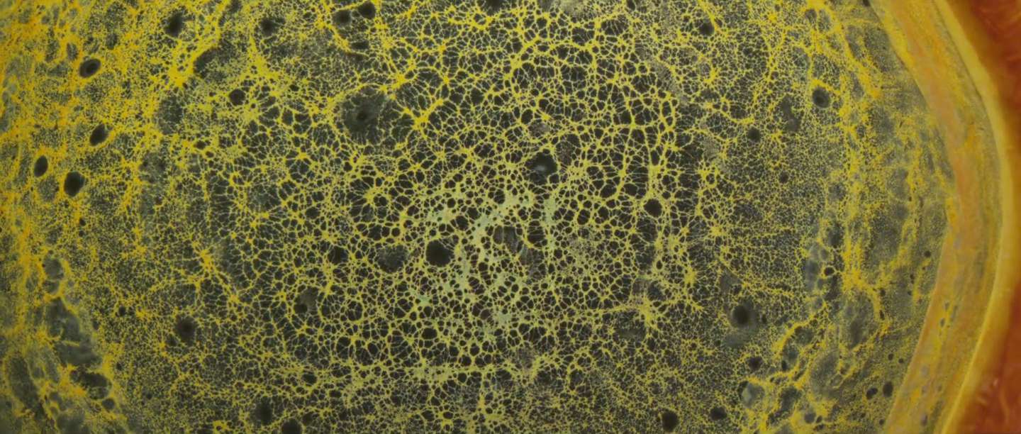 IMAGE d'ecran 2014-08-08  14.46.47