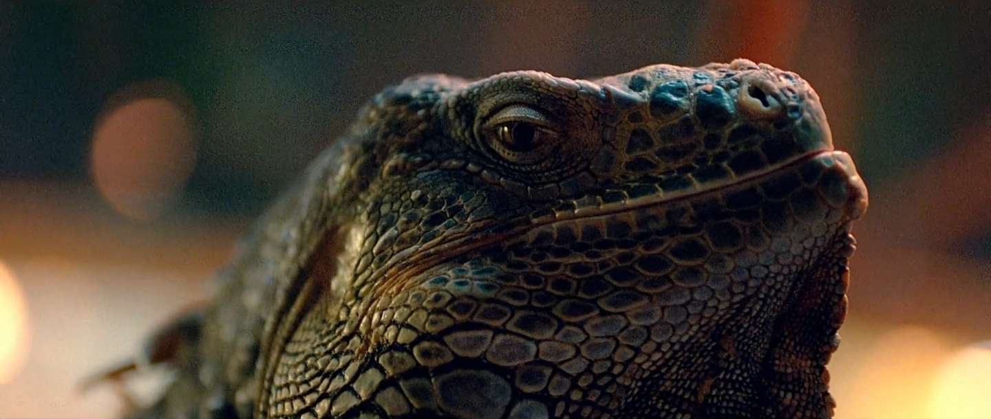 IMAGE d'ecran 2014-08-08  14.48.16