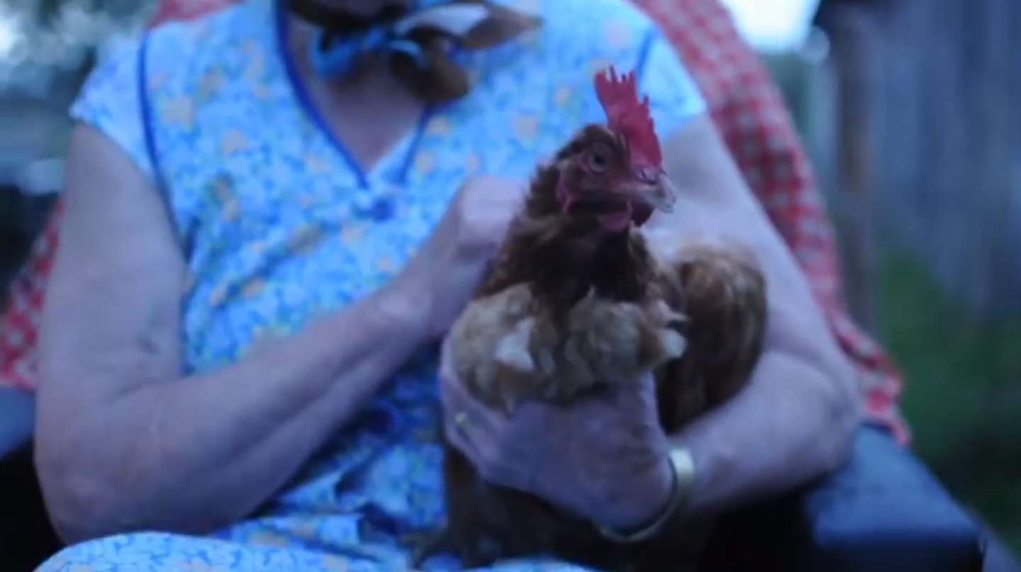 IMAGE d'ecran 2014-09-19  12.55.32