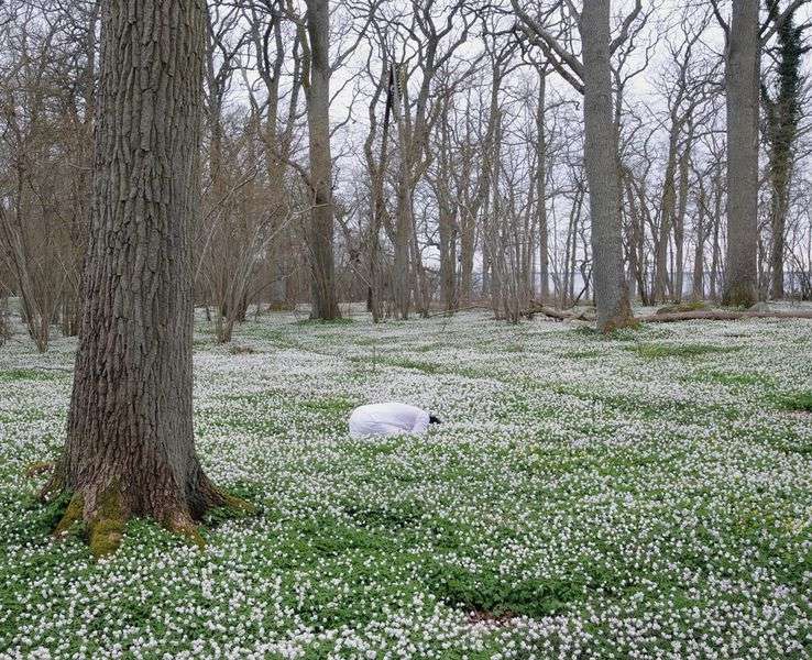 IMAGE d'ecran 2014-11-14  13.07.33