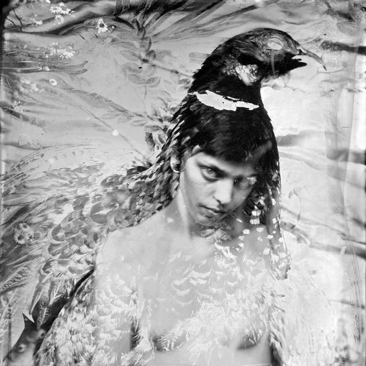 Isa+Marcelli-sandra-faisan+copy+2