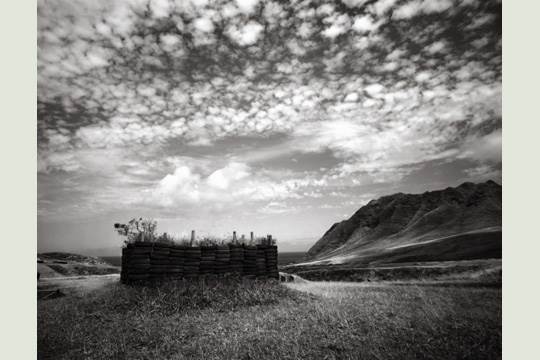 jan-becket-hawai-486903