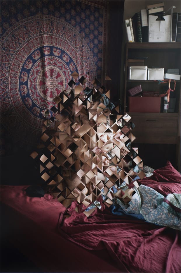 Johnson_Puzzle-Pieces_2013